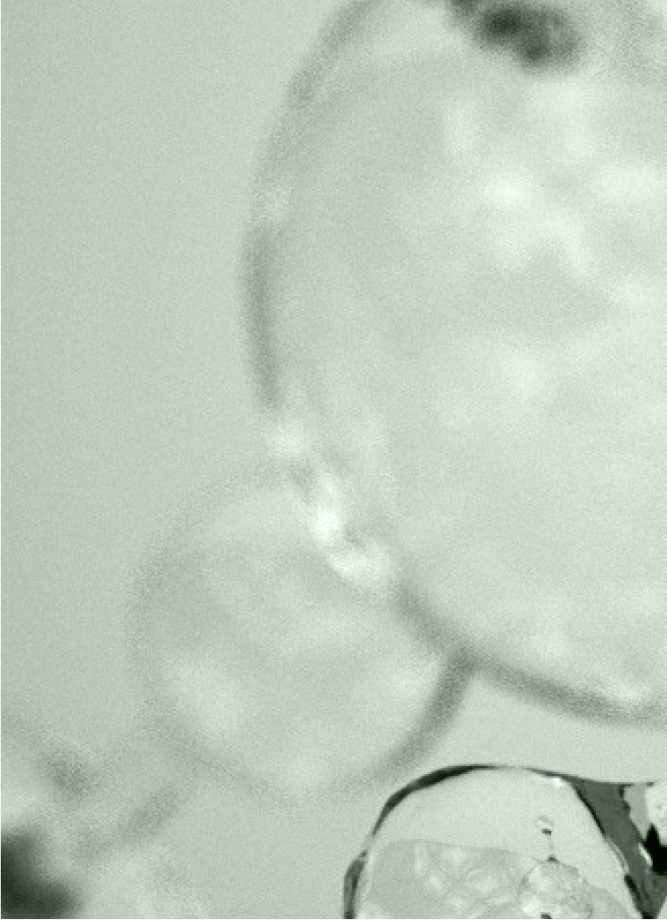 DEVELOPED BY PHARMACISTS